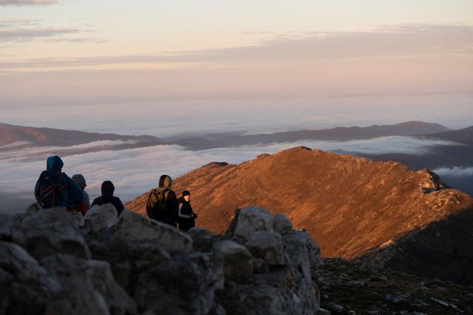 Fondacija Mozzart Fondacija Mozzart