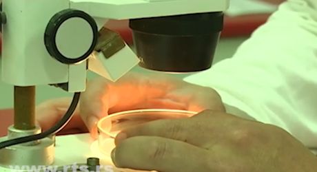 Zemun, hibridni prouzvodi od mesa