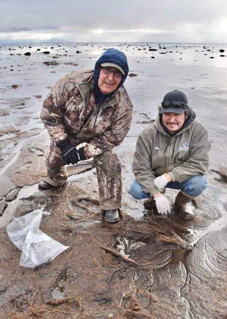 Kvinhagak, Aljaska, arheološko nalazište Kvinhagak, Aljaska, arheološko nalazište