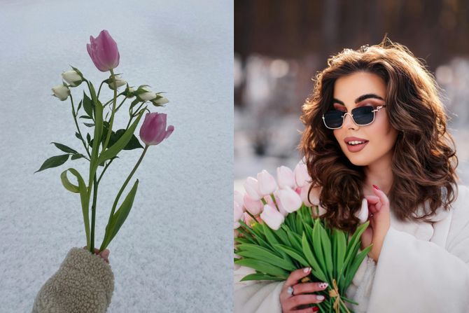 kombo, cveće, cvet kombo, cveće, cvet