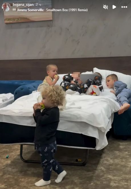 Bogdana Ražnatović