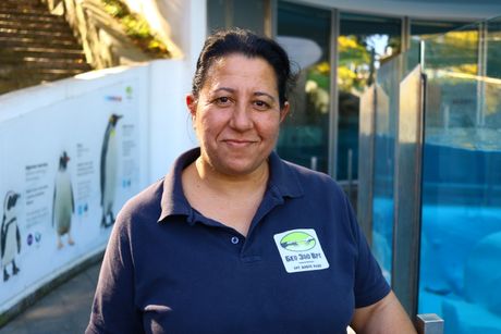 Alma Ganijovski Jović