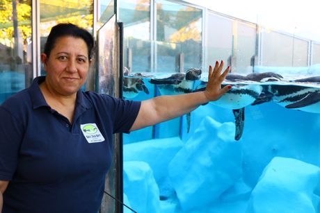 Alma Ganijovski Jović