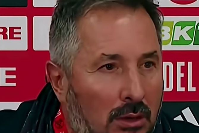 Havi Prendes Havi Prendes