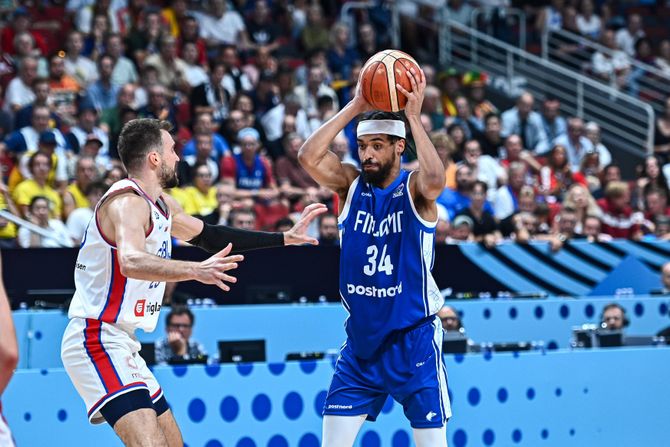 1035087194 1035087194