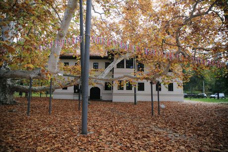 Topčider, Topčiderski park, Platan, Milošev konak
