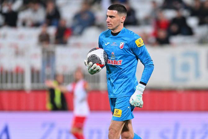 Dragan Rosić, FK Vojvodina