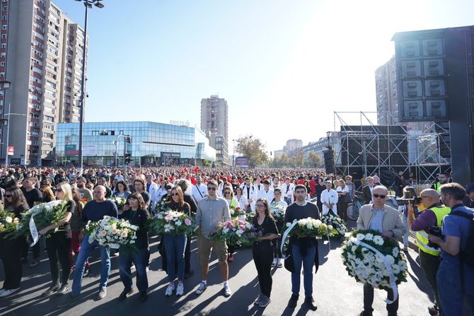 nadstrešnica, novi sad, pomen nadstrešnica, novi sad, pomen