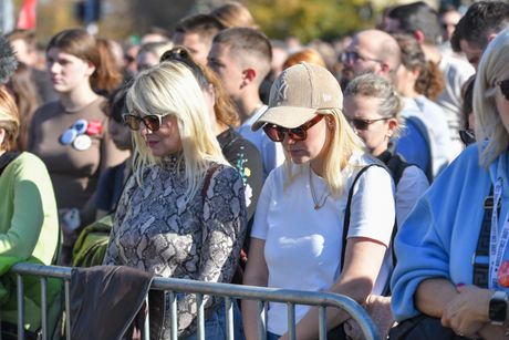 nadstrešnica, novi sad, pomen