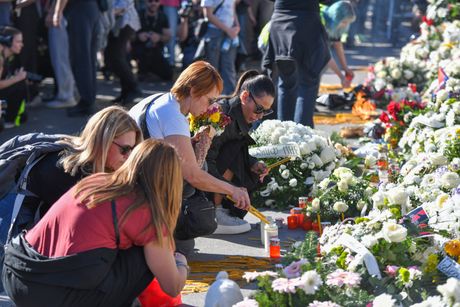 nadstrešnica, novi sad, pomen nadstrešnica, novi sad, pomen