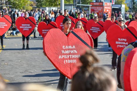 nadstrešnica, novi sad, pomen nadstrešnica, novi sad, pomen