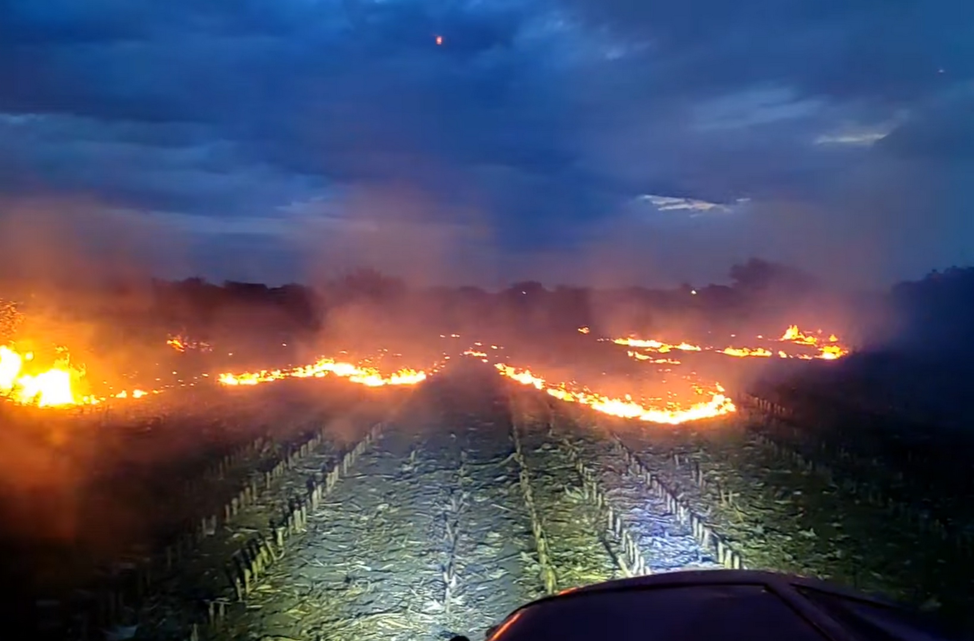 Samo jedan trenutak nepažnje: Evo šta je izazvalo stotine požara po Srbiji!