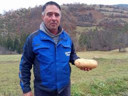 Ogromni plodovi u Zoranovom domaćinstvu u selu Kućani