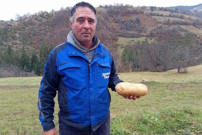 Ogromni plodovi u Zoranovom domaćinstvu u selu Kućani