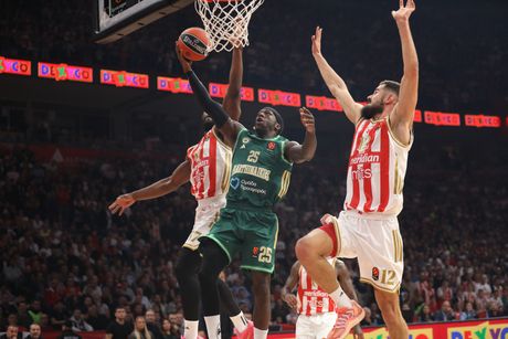 KK Crvena zvezda - KK Panatinaikos