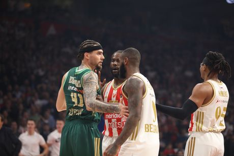 KK Crvena zvezda - KK Panatinaikos