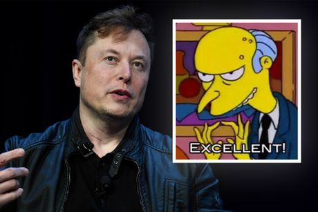 Elon Musk, Mr Burns, Simpsons
