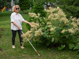 vid, slepilo, slepa žena