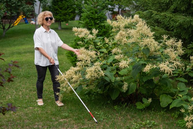 vid, slepilo, slepa žena