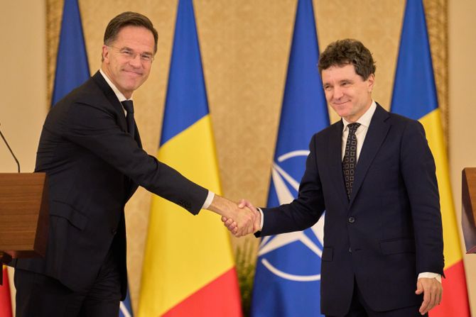 Mark Rute i Nikušor Dan