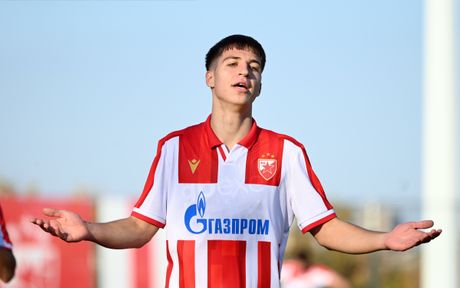 Dimitrije Šarić