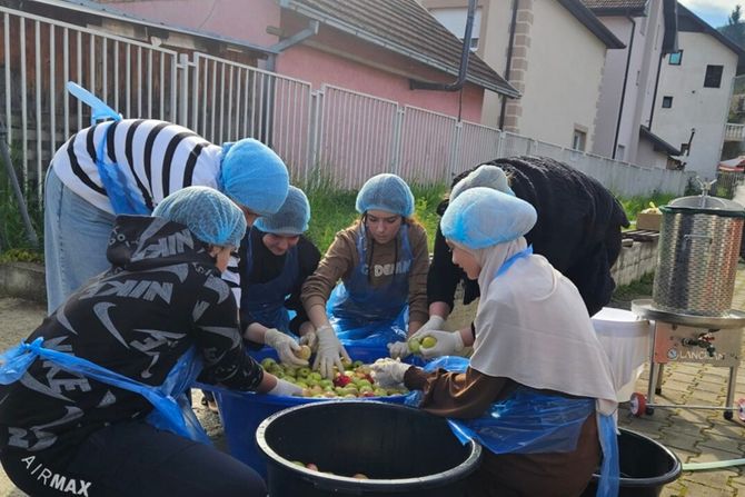 Brodarevo, učenička zadruga