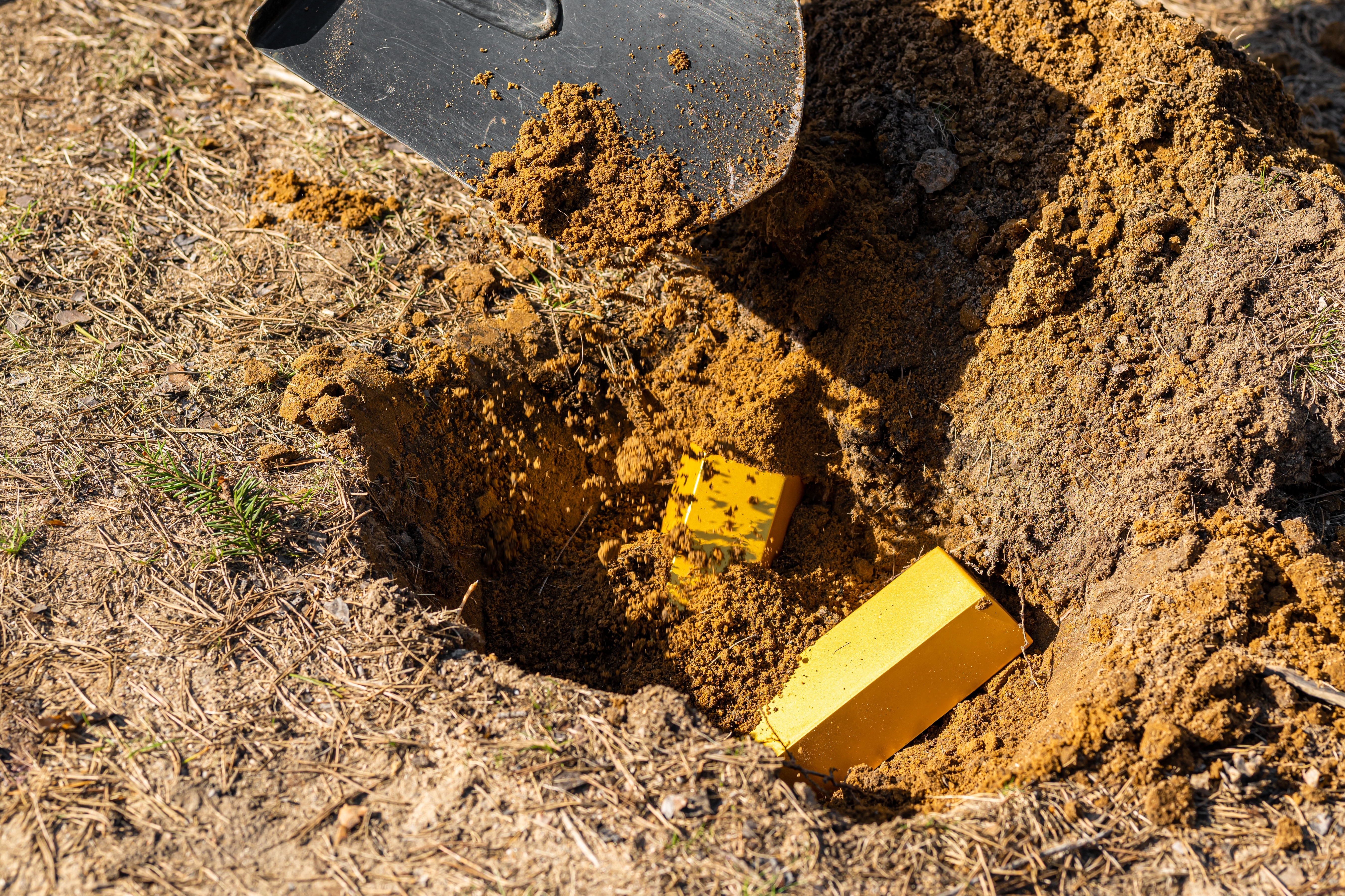 Kopao da napravi bazen, a pronašao blago - zlatne poluge i zlatnike vredne 800.000 evra