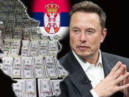 Ilon Mask Elon Musk, novac, srbija