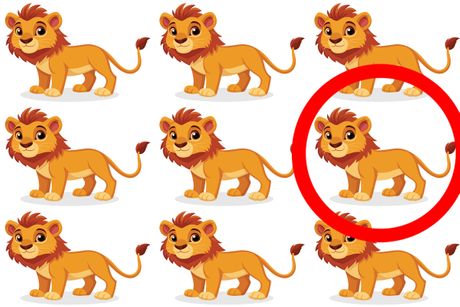 Mozgalica, Skrivalica, lav