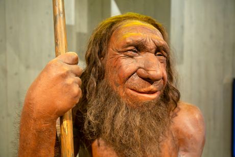 neandertalci