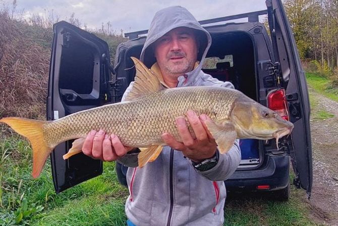 Velimir Velja Vasić , mrena