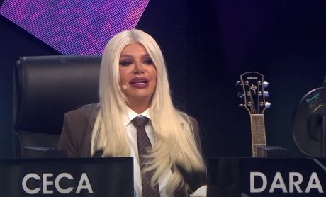 Fan Dare Bubamare, Dara Bubamara, Veljko Jovanović