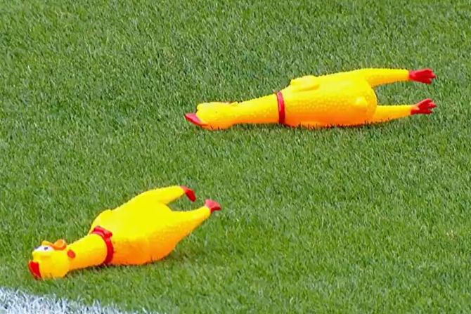 Gumene kokoške, Boka, River