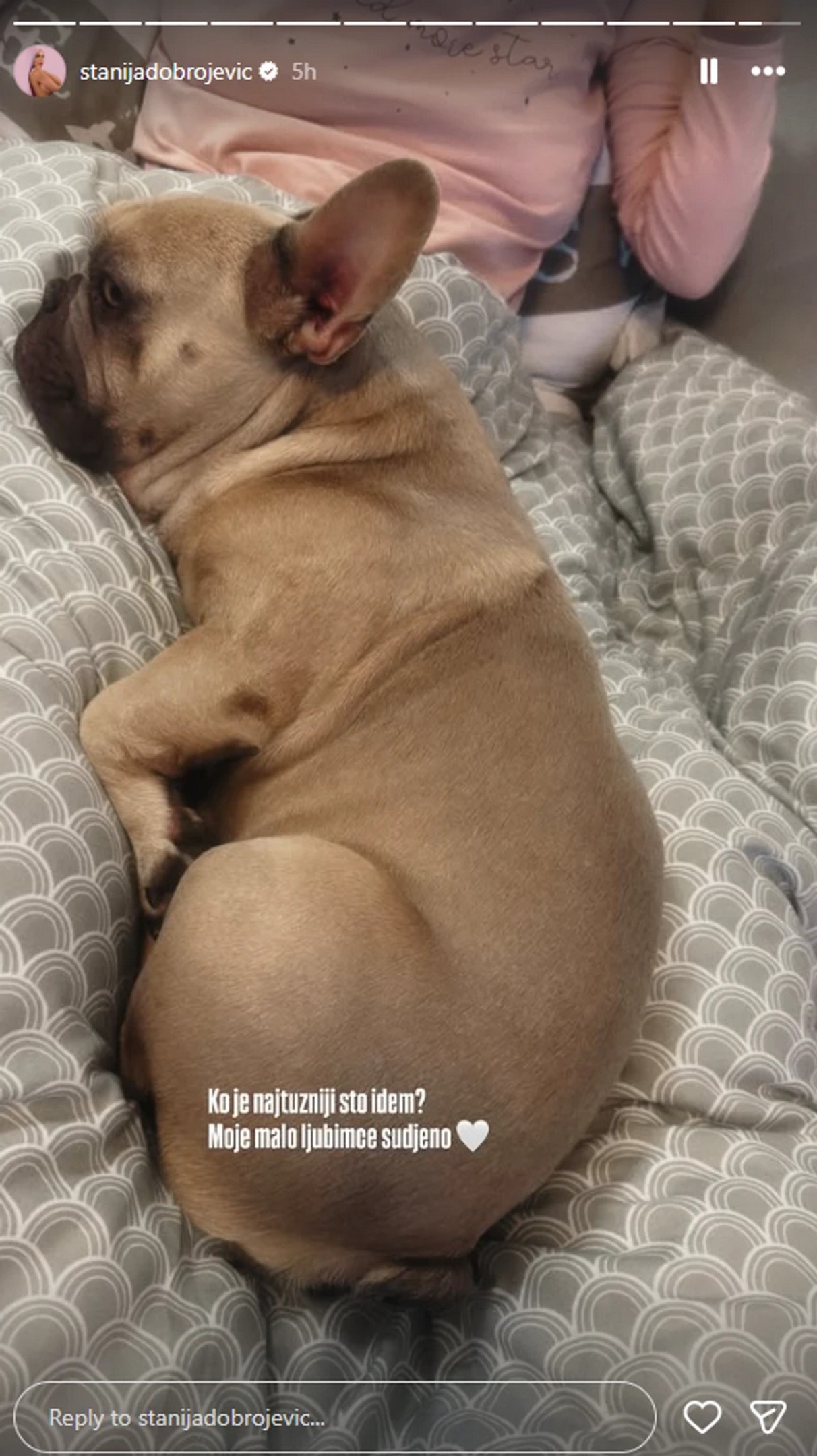 Stanija otputovala u Ameriku: Starleta razočarana u Asmina, evo ko ju je ispratio, bio je najtužniji