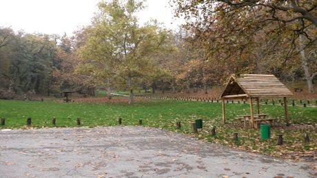 Mostovi Košutnjak i Ada na dan državnosti