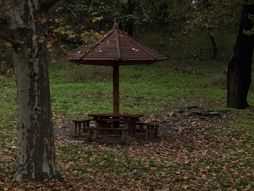 Mostovi Košutnjak i Ada na dan državnosti