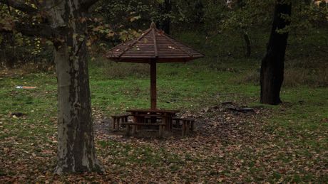 Mostovi Košutnjak i Ada na dan državnosti