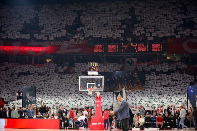 Navijači Crvene zvezde, Delije