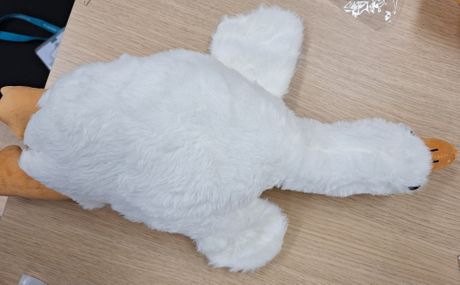 Povlačenje proizvoda