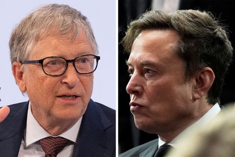 bil gejts, ilon mask