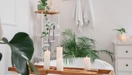 S njima nema buđi u kupatilu jer obožavaju vlagu: Tri biljke koje su idealne za svako kupatilo