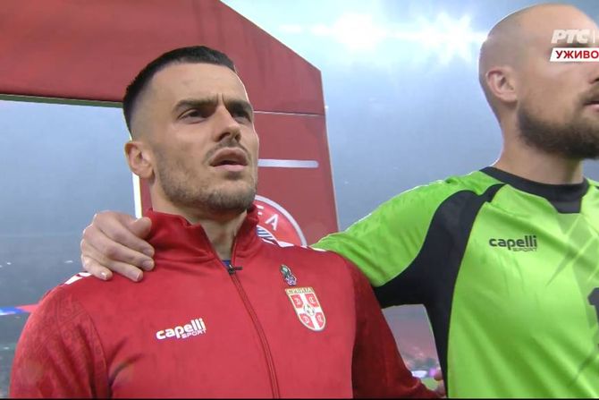 Natalijina ramonda - Filip Kostić i Dušan Vlahović