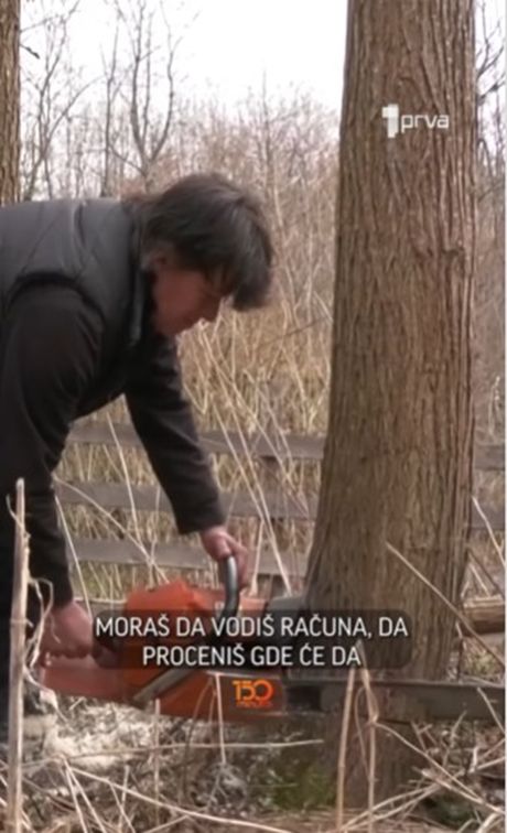 Gordana Zbiljić, drvoseča