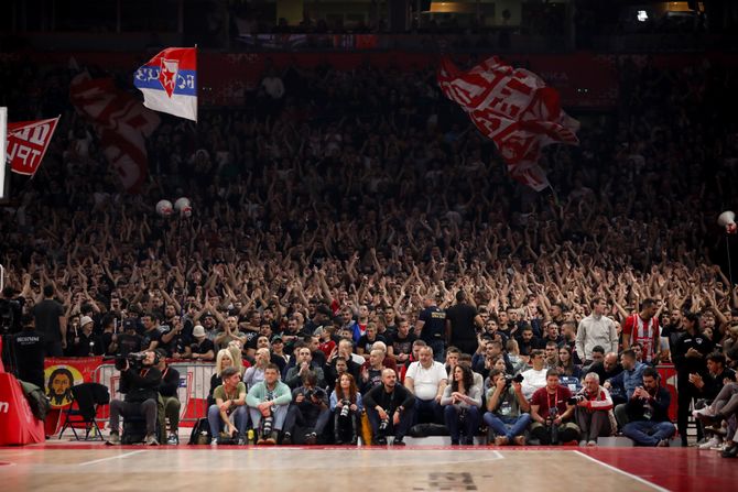 Navijači Crvene zvezde, Delije