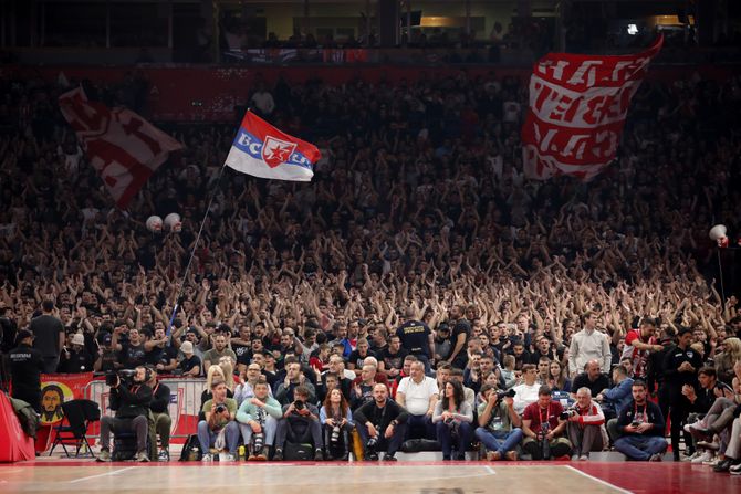 Navijači Crvene zvezde, Delije
