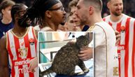 Košarkašima Zvezde se povredila i čuvena mačka: Ljubica morala kod veterinara, a "oglasila" se i saopštenjem!