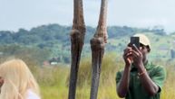 Čudesno stvorenje šokiralo turiste u Africi! Scena kao iz Džurasik parka: "OVO JE NEVEROVATNO"