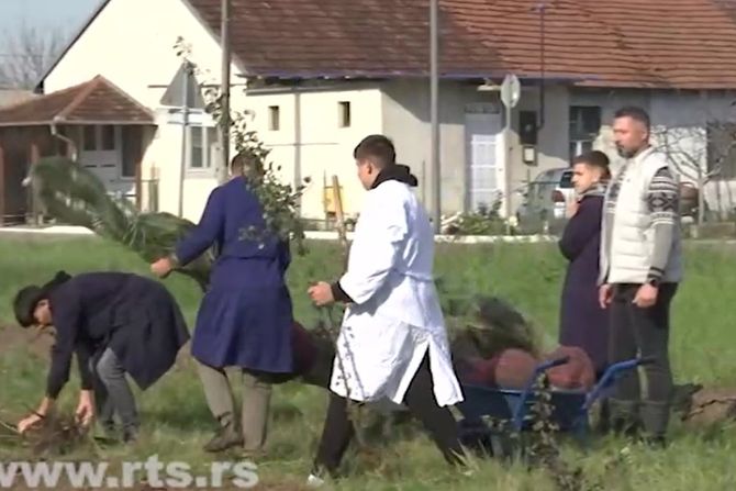 Regenerativna poljoprivreda