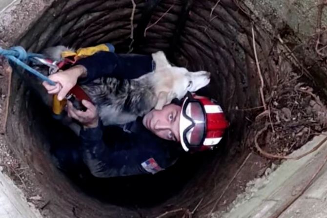 Vatrogasci spasili štene, Topolovnik