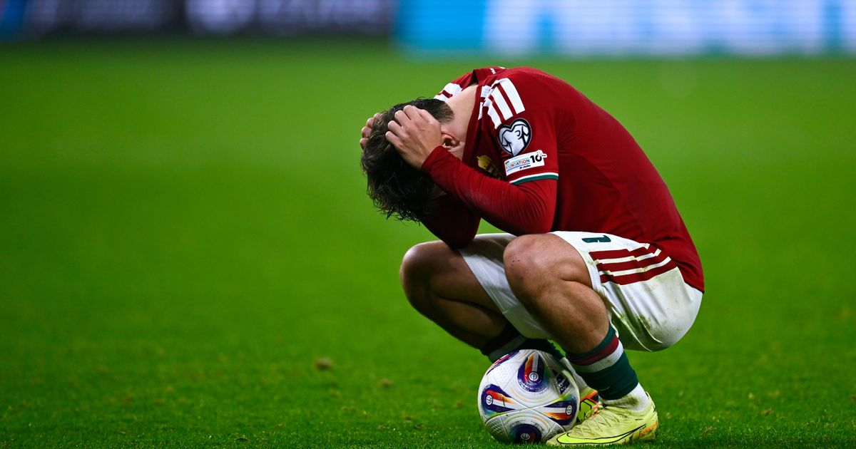 Komšije šokantno ostale bez SP, a onda uradile nešto o čemu Srbija može samo da sanja: Ovo se retko viđa